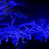 目黒川が「青の洞窟」に！ 新たなイルミネーションイベントがスタート