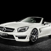 メルセデスベンツ SL63 AMG の ニコ・ロズベルグ 仕様「ワールド・チャンピオンシップ2014コレクターズエディション」