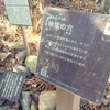 スバル レヴォーグ で走る“未知の道” in 高知