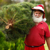 オーストラリア、シドニーのクリスマス（c）Getty Images