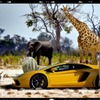 『Top Gear』の予告映像
