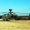 最大速度267km/hの戦闘用AH-64D（アパッチ・ロングボウ）　（習志野駐屯地・陸上自衛隊第1空挺団「降下訓練始め」、千葉県船橋市、1月11日）