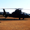 川崎重工製の偵察用OH-1（習志野駐屯地・陸上自衛隊第1空挺団「降下訓練始め」、千葉県船橋市、1月11日）