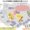 氷結層を含む雲の発生でH-IIAロケット27号機の打ち上げを中止（画像：JAXA）