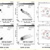 上段が3C 273、下段がM87のイメージング。観測周波数は23GHz。 左：VERAのみのイメージング。中央：KaVAによるイメージング。中心核からジェットが噴き出す様子も見える。 右：uv平面（基線の軌跡）を示し、点が多くて分布が均一なほど観測条件が良い。赤い点はVERAのみの場合で、黒い点を含めたKaVAの方が好条件となる
