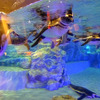すみだ水族館に登場した、光と音楽とペンギンの新展示「ペンギンキャンディ」（3月21日～7月17日）。3月19日のオープニングイベントには動物好きな森泉も登場。ペンギンを抱き「連れて帰りたい！」と笑った
