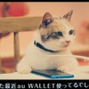 au WALLET「にゃにゃにゃにゃ食堂」　史上初！ネコ語ドラマ（ヒューにゃんドラマ）