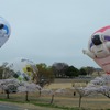 2015熱気球ホンダグランプリ（4日のようす）