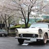 一緒に参加したフォードサンダーバードと共に