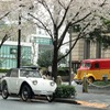 フライングフェザー
