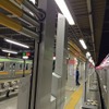 列車側から見たホームドア。