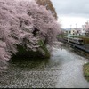 山形～北山形間の霞城公園沿いを行く列車。4月11日から徐行運転を行う。
