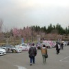 桜織の痛車ふぇす2015