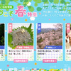 ようこそ春特集