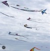 Kite internationa festival