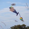 Kite internationa festival