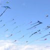 Kite internationa festival
