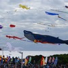 Kite internationa festival