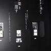 (C)岸本斉史 スコット／集英社