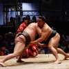 大人気の大相撲ブース。白鵬と日馬富士、横綱同士の対戦。