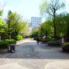 この築地川公園の下にはトンネルが存在する