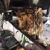 米国でキャンピングカー全焼、消防局はWiiを発火原因に指摘