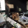 米国でキャンピングカー全焼、消防局はWiiを発火原因に指摘
