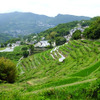 香川県・小豆島の中山千枚田