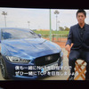 アンバサダーである錦織圭選手からのビデオメッセージ（ジャガー XE 発表会）