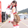 スーパー耐久シリーズ2015『STくす子ちゃんズ』要さえこ・小林未来・香月かおり