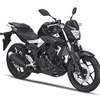 ヤマハ MT-25