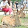観光スポット