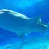 観光スポット