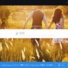 「Adobe Stock」サイトトップページ