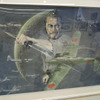 展示作品