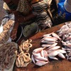 チェンナイ郊外の魚市場の様子