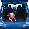 BMW 2シリーズ グランツアラー で愛犬と共に