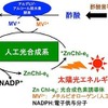 二酸化炭素を出発物質としたエタノール生産のための人工光合成技術