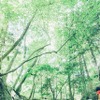 子ども向け複合体験施設「MORIUMIUS」が宮城にオープン…体験するプログラムを提供