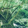 子ども向け複合体験施設「MORIUMIUS」が宮城にオープン…体験するプログラムを提供