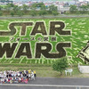 『スター・ウォーズ／フォースの覚醒』田んぼアート見ごろ宣言式