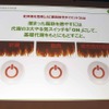 杜仲茶を活用した、代謝促進型ダイエットとは