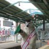 初日は「ホールズ・シロクマ」が中央前橋駅の一日駅長を務めた。