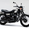 カワサキ W800 スペシャルエディション