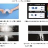 エアウィーヴが「世界水泳選手権大会」「世界短水路選手権大会」などに協賛