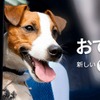 房総半島で愛犬と楽しい体験が楽しめるおでかけプラン「おでか犬」