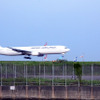 京浜島つばさ公園から羽田空港B滑走路へ着陸する旅客機を見る
