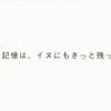 トヨタドッグサークルウェブ限定動画「Smile Again」