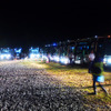 SPACE SHOWER SWEET LOVE SHOWER 2015 の会場に集結する高速バスたち