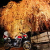 Webike ツーリング・フォトコンテスト（前回の入賞作品）